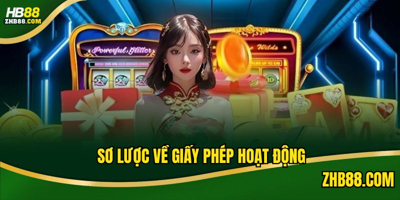 Định nghĩa giấy phép hoạt động là gì?
